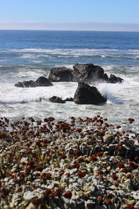 Scenic view of sea against sky