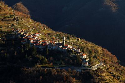 High angle view of trees and buildings in town