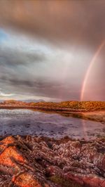 Scenic view of rainbow over sea against sky