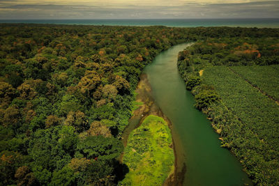 High angle view of trees on landscape against sky