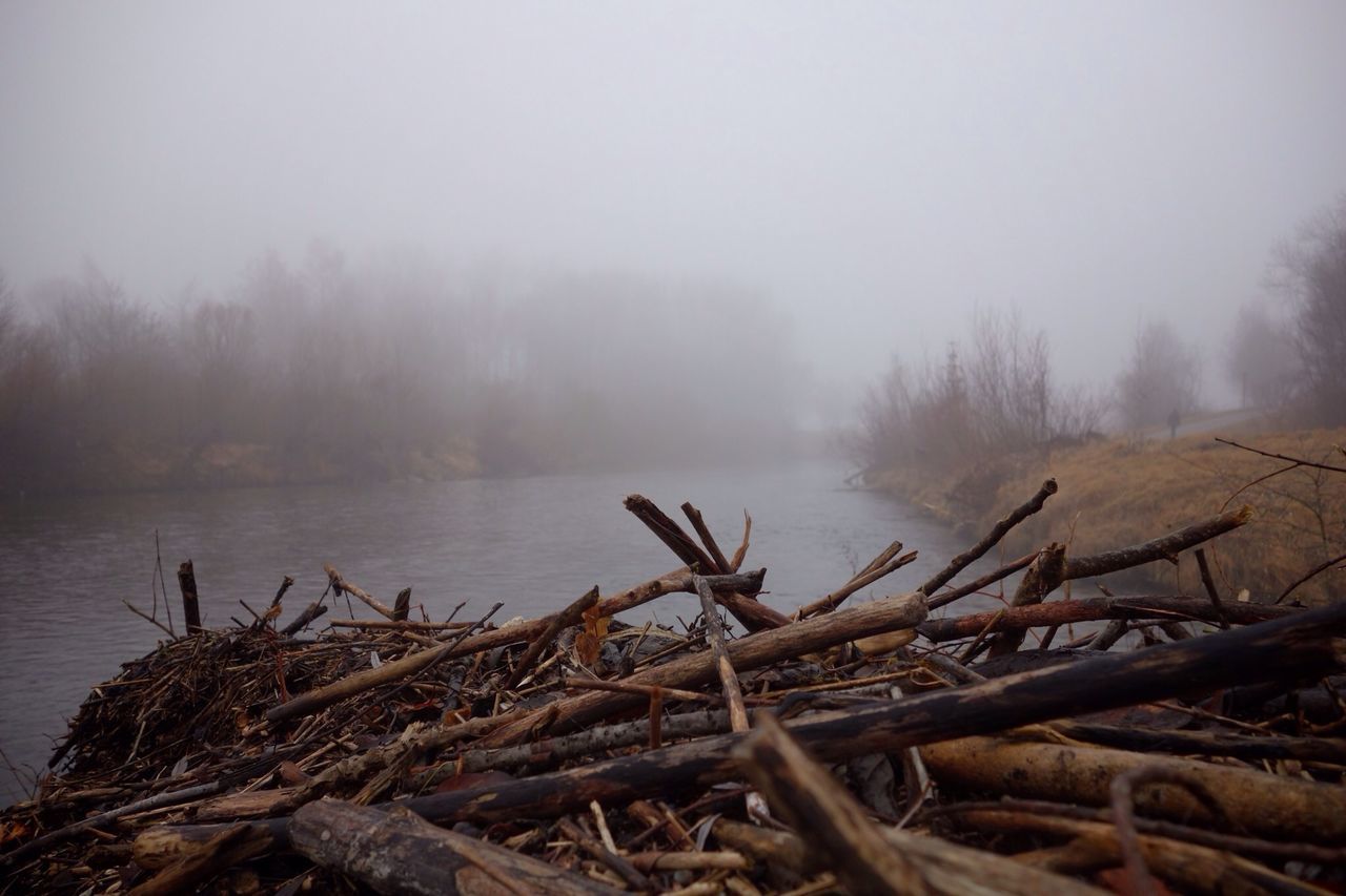 tranquility, tranquil scene, winter, water, cold temperature, weather, lake, snow, scenics, nature, beauty in nature, fog, frozen, wood - material, non-urban scene, season, sky, bare tree, landscape, tree