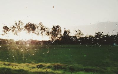 Full frame shot of raindrops on window