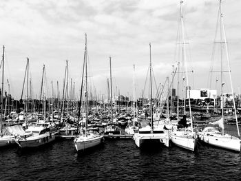 Sailboats moored on harbor against sky