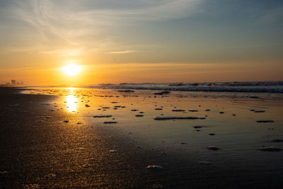 Scenic view of sea during sunset