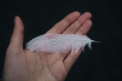 Close-up of hand holding feather against black background