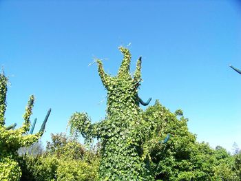 Low angle view of cactus plant against clear blue sky