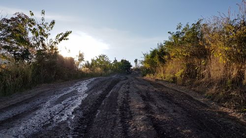 Dirt road amidst trees against sky