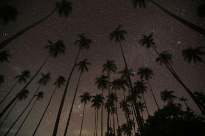 Low angle view of silhouette palm trees against sky