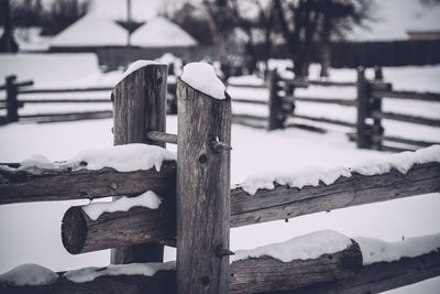 Close-up of snow on wooden fence