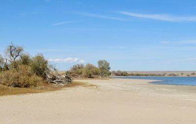 Scenic view of beach against sky