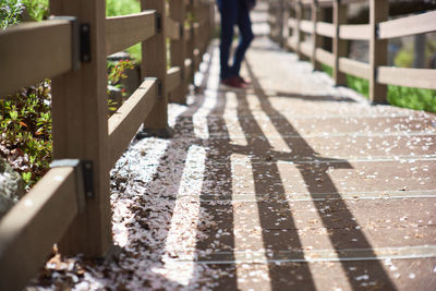 Low section of person standing on railing