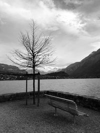 Bare tree by lake against sky