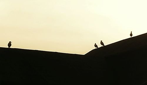 Low angle view of silhouette birds against clear sky