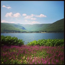 Scenic view of lake by field against sky