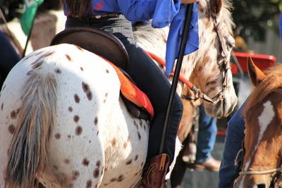 Panoramic shot of people riding horses