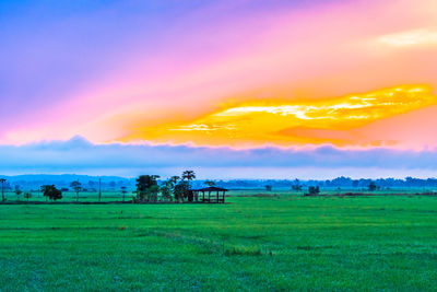 Scenic view of field against sky during sunset