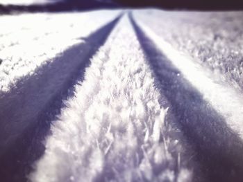 Close-up of snow