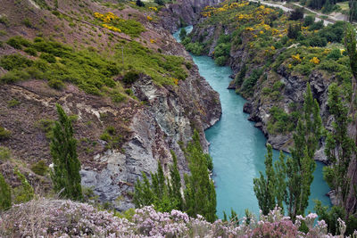 High angle view of river amidst trees in forest