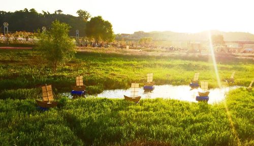 Scenic view of grassy field