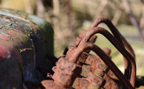 Close-up of rusty metal