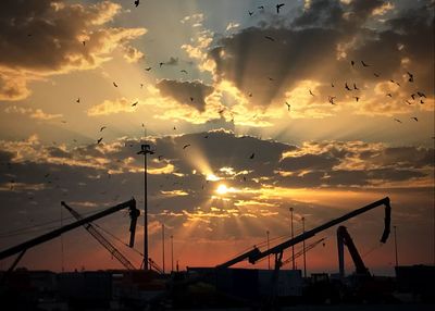 Silhouette cranes against sky during sunset