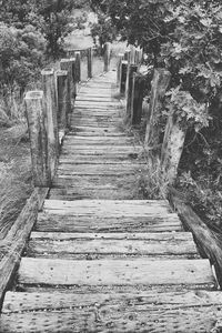 Walkway amidst trees