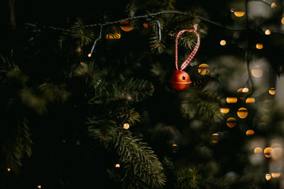 Decorations and ornaments hanging on a christmas tree in the festive season, indoors