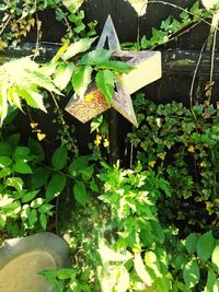 High angle view of yellow leaves on land