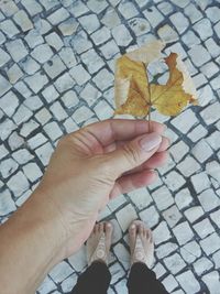 High angle view of woman holding autumn leaf