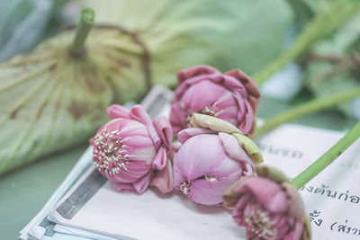 Close-up of pink rose bouquet