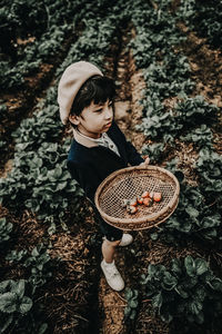 Full length of boy holding basket with strawberries at farm