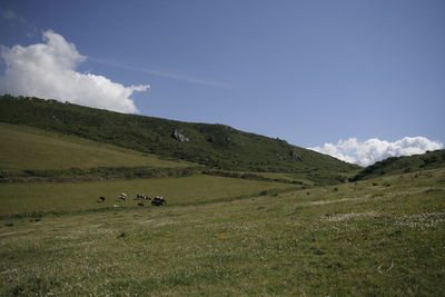 Scenic view of landscape against sky