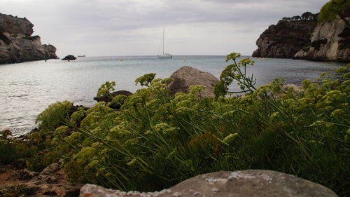 Scenic view of sea against sky