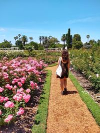 Rear view of woman on pink flowering plants against sky