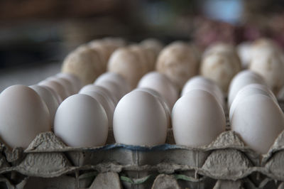Close-up of eggs in carton for sale at store