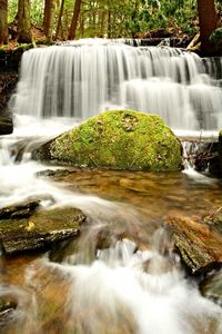 Scenic view of waterfall in forest