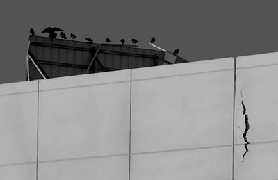 Low angle view of birds perching on ceiling