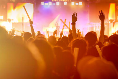 Rear view of people enjoying at music concert