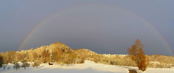 Scenic view of snow covered landscape