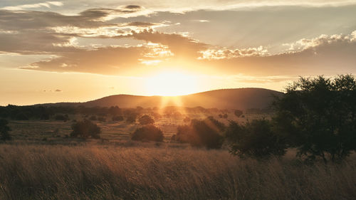 Scenic view of field against sky during sunset