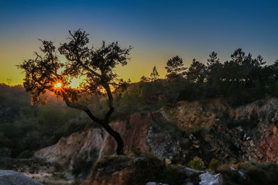 Silhouette trees by rocks against sky during sunset