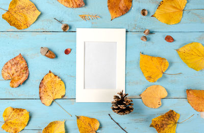 High angle view of leaves on table