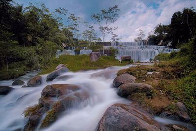 Stream flowing through rocks in forest against sky