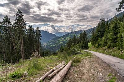 Dirt road amidst trees and mountains against sky