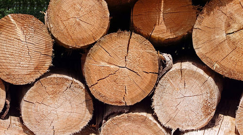 Full frame shot of logs in forest