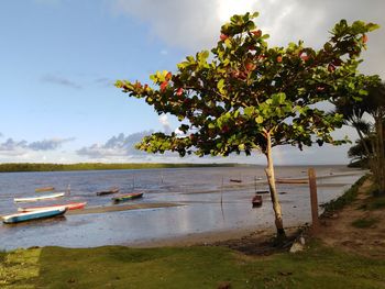 Scenic view of beach against sky