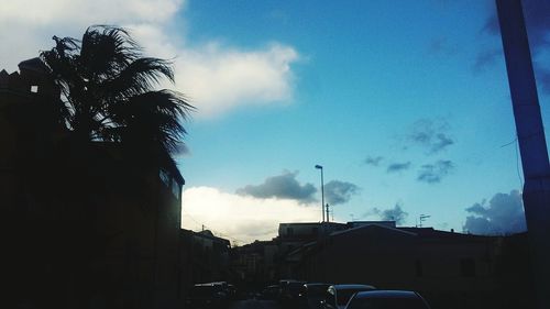 Palm trees in city against sky