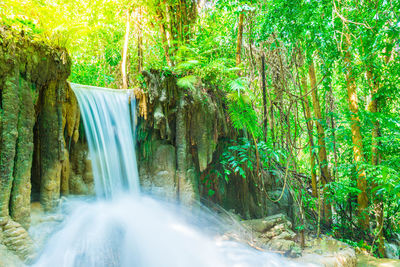 Scenic view of waterfall in forest