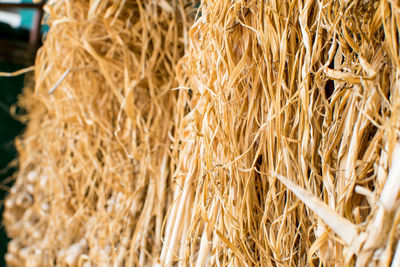 Full frame shot of wheat field