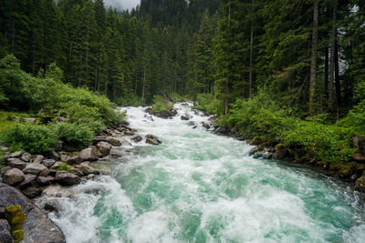 Stream flowing through rocks in forest